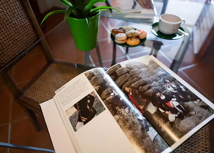 Ruju 别墅 多尔加利